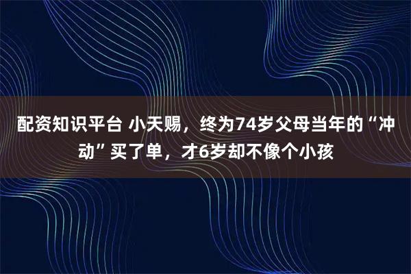 配资知识平台 小天赐，终为74岁父母当年的“冲动”买了单，才6岁却不像个小孩